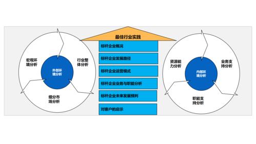 公共部门战略管理是什么