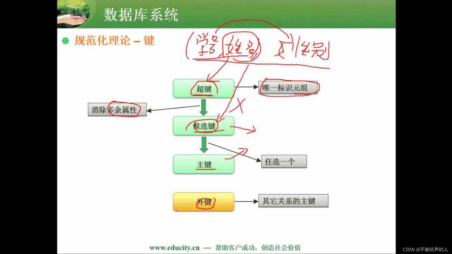 数据完整性是指哪三个