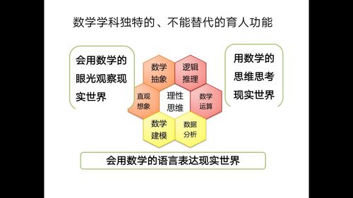 基础数学是学什么