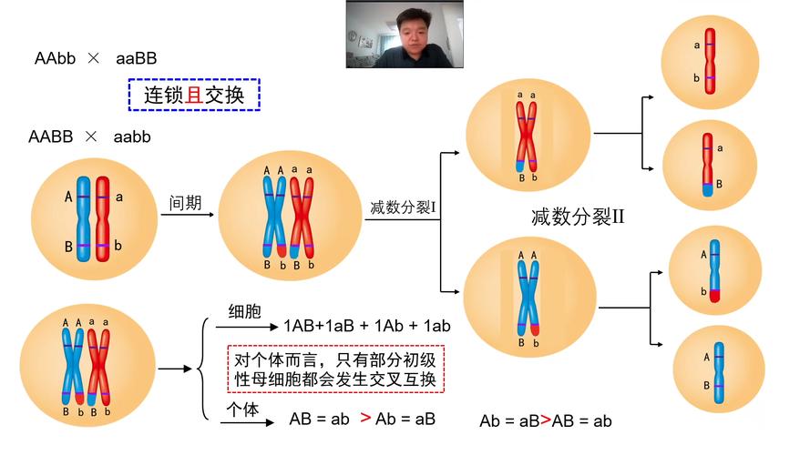 标记基因位于哪里