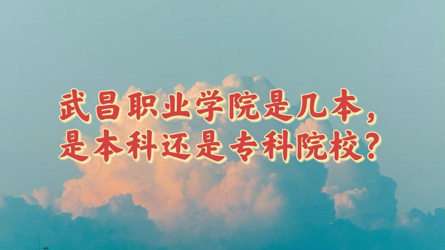 专科是什么本科又是什么