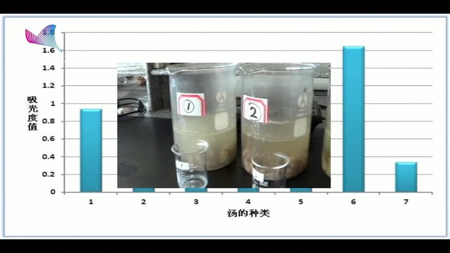 什么叫义项分类