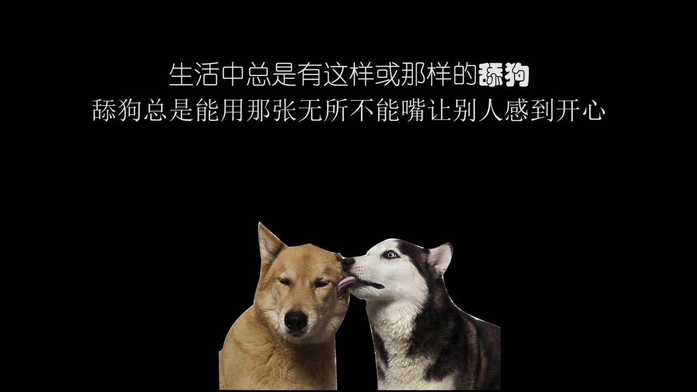 舔狗是什么的意思