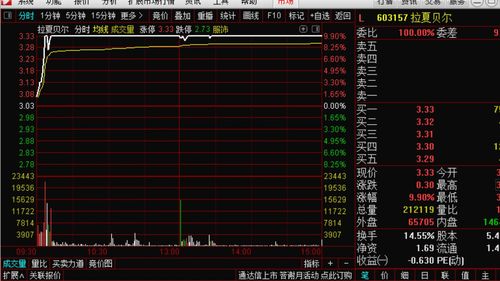 股票6开头的是什么股