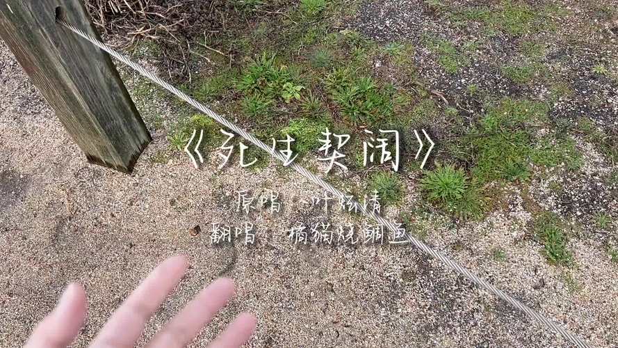 生死契阔与子成说意思