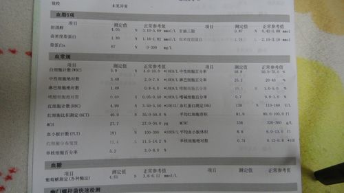 深圳市小汽车增量指标是什么意思