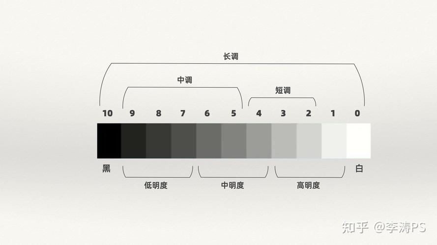 棉纤维按品种分为哪几种