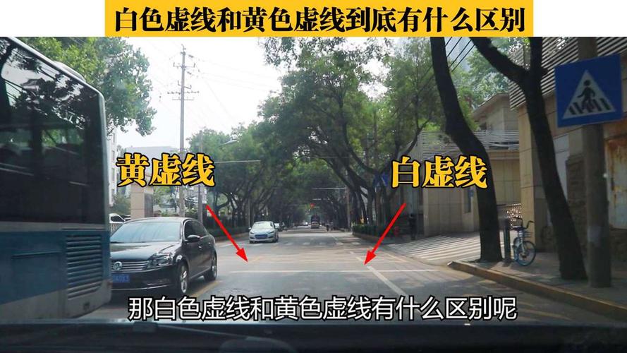 路边黄色虚线表示什么