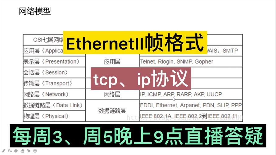 帧在网络里是什么意思