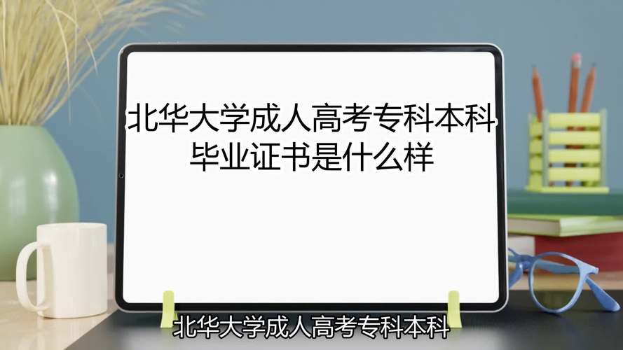 大学本科专科是什么意思