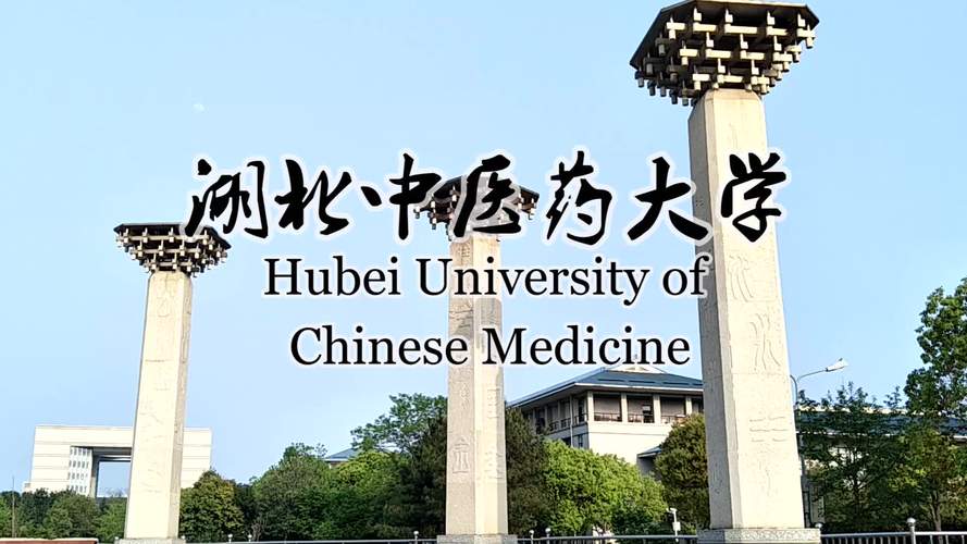 中医大学有哪些