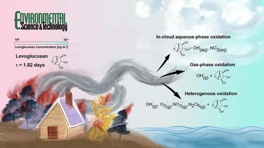 生物氧化的特点