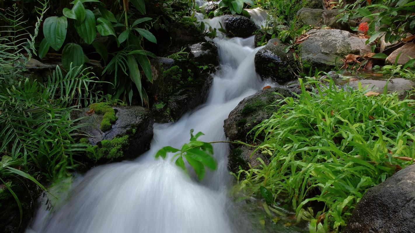 流水潺潺心韵悠悠的意思