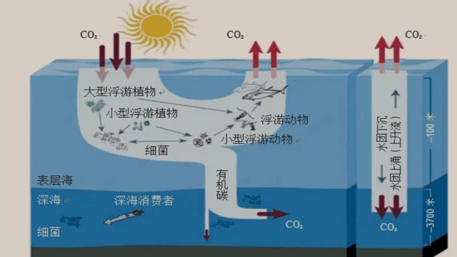 世界上哪个国家率先实施深海环境研究计划