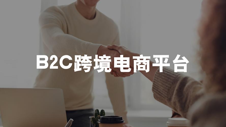 b2c有哪些平台