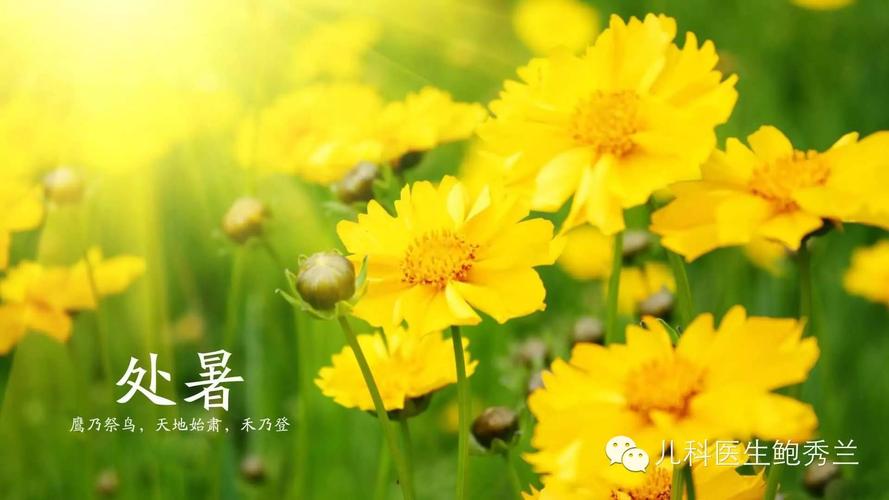 过了处暑节气以后还热吗