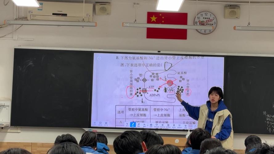 酶的生物学特性和化学本质是什么