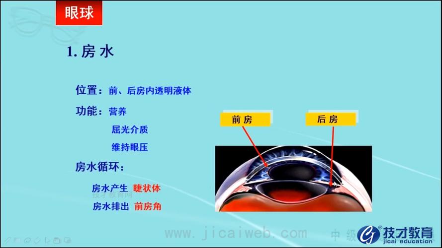 na2o2是离子化合物吗