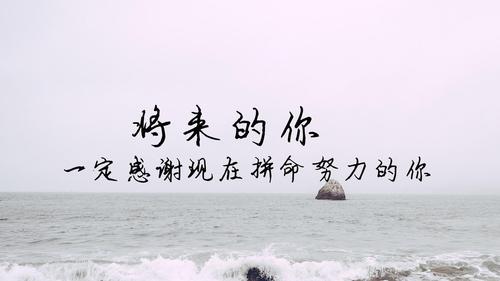 挣钱励志的经典句子