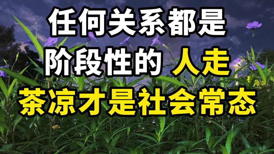 人的社会属性有哪些