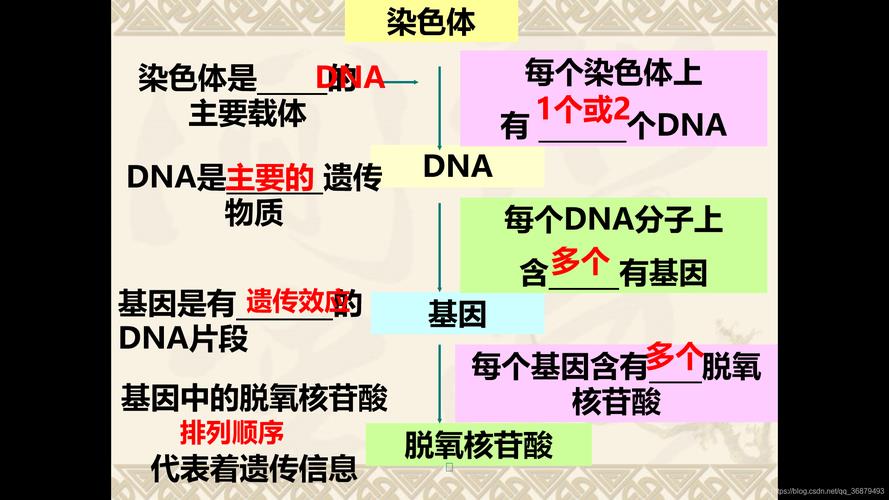 遗传物质有哪些