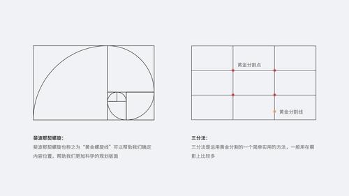 几头身是黄金比例