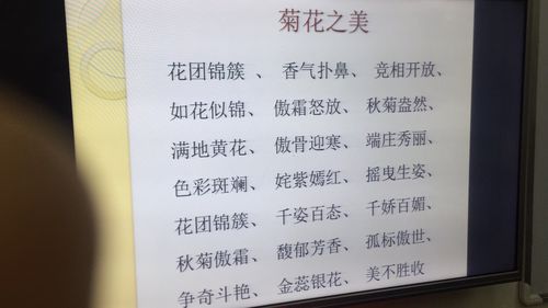 街能组什么词