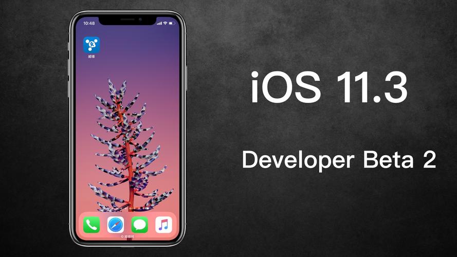 ios13.1.3更新了什么