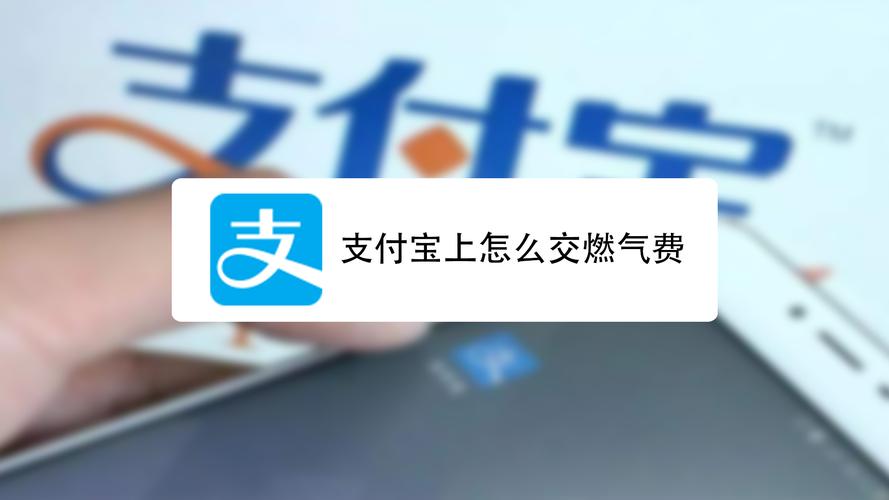 支付宝惠支付在哪