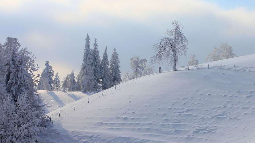 形容大雪的成语