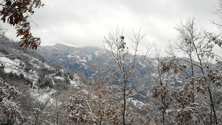 下雪问候语及关心话