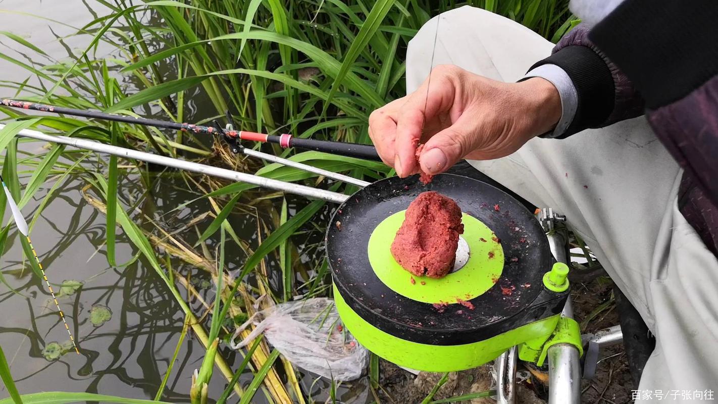 钓鱼拉饵蓝鲫和918怎么配