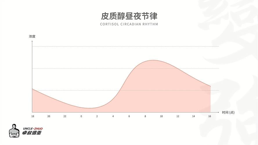 内脏脂肪指数标准是多少