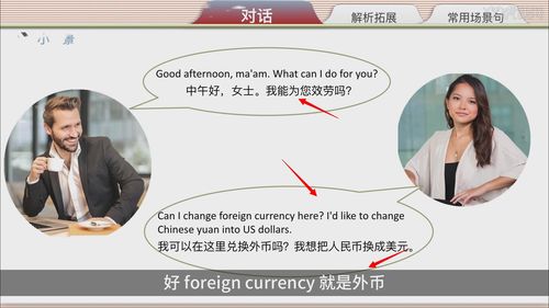 dollars是什么币