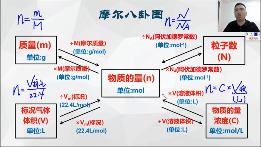 化学计量数是什么东西