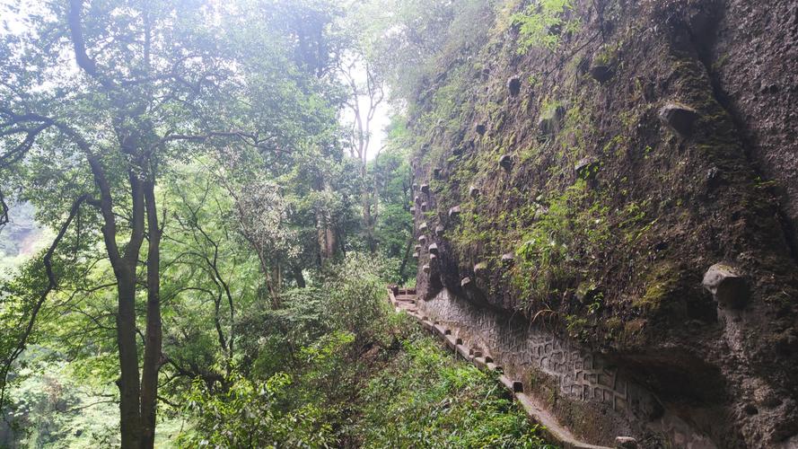 爬青城山前山后山共需多少时间