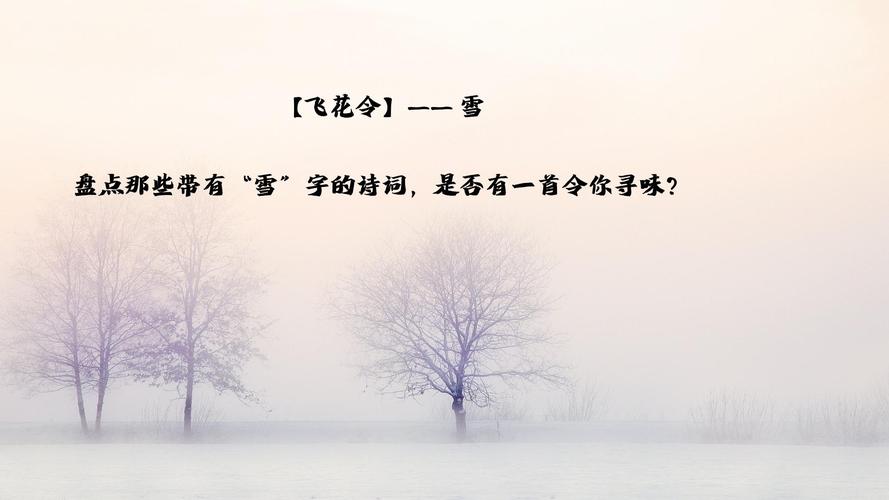 带雪的诗句有什么