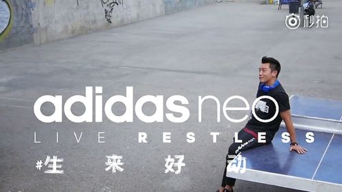 adidas neo是什么