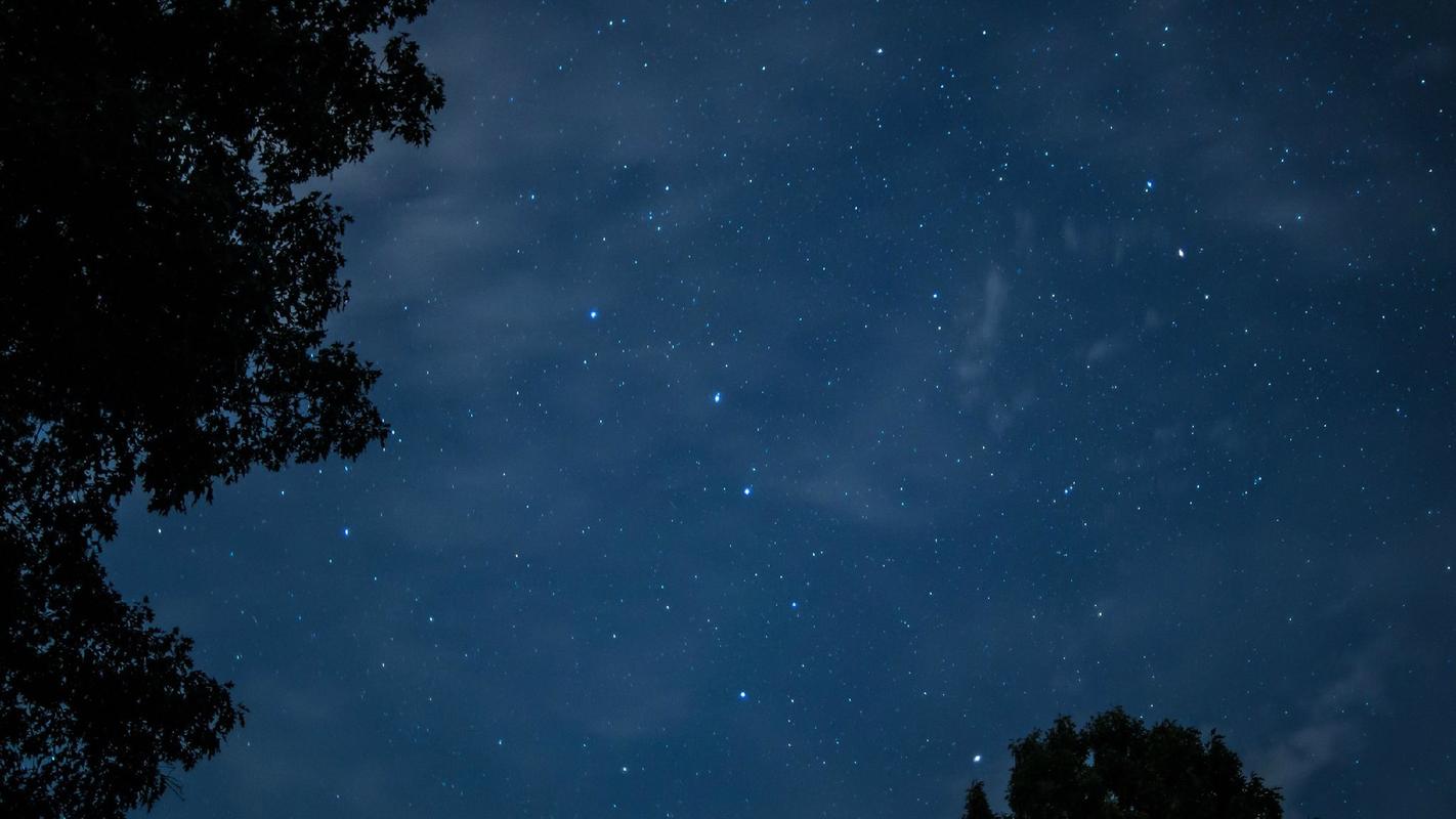 夜空中洒满了星星像什么