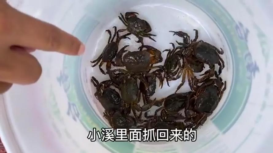 海鲜有寄生虫吗