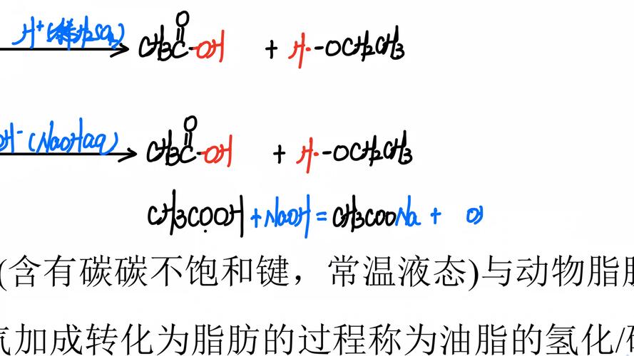 水解反应是取代反应吗