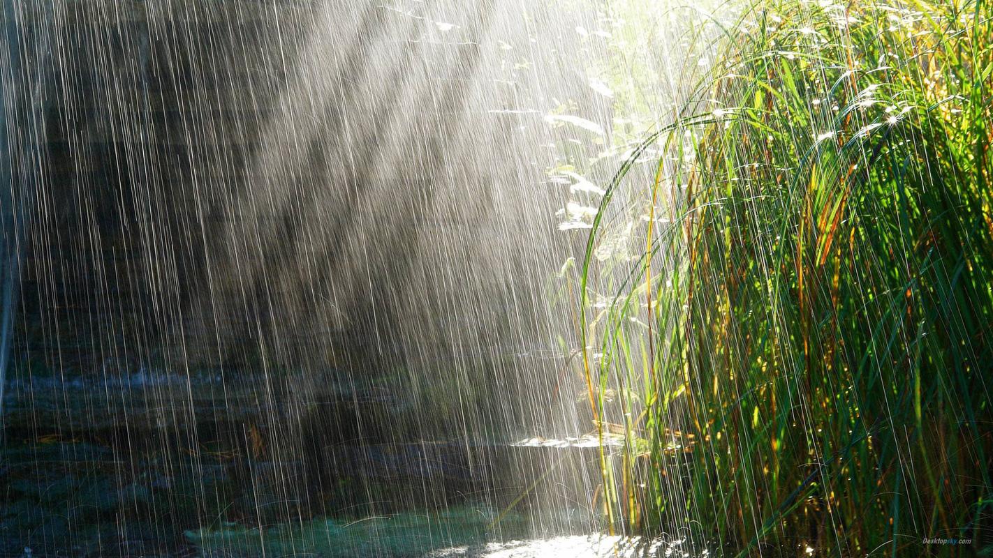 夏天的雨的特点