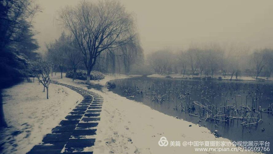 关于雪的现代诗