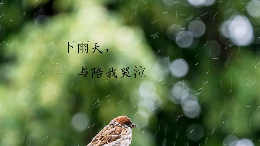 下雨天的心情经典句子