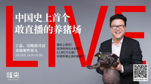 网易养猪场是什么梗