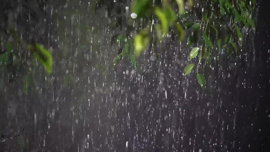 什么的下雨声填空