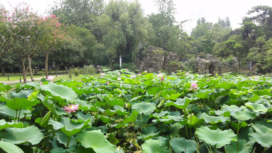 南京有什么适合年轻人玩的地方