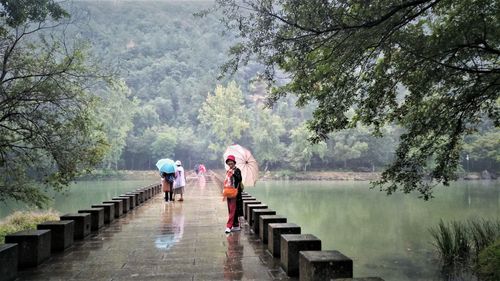 山色空蒙雨亦奇的前一句是什么