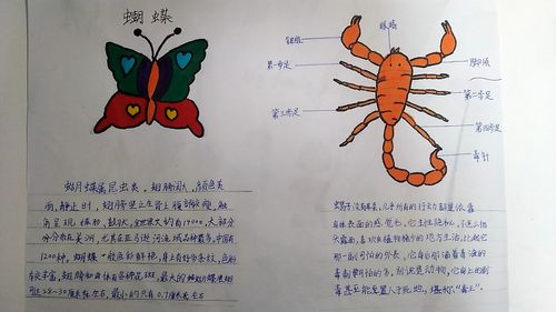 昆虫记被誉为什么