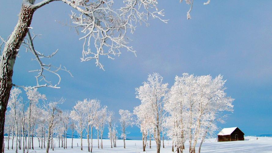 瑞雪兆丰年什么意思